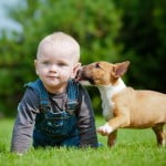 pourquoi mon fils a peur des chiens