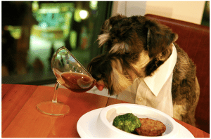 chien-restaurant