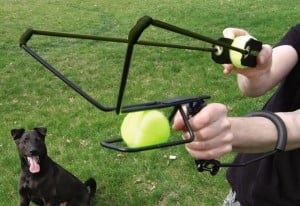 lance-balle-chien