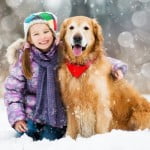 Coussinet du chien : entretien et soins des blessures Coussinet du chien : entretien et soins des blessures