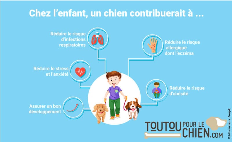 Infographie sur les bienfaits du chien sur la santé de l'enfant