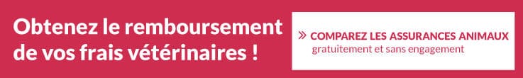 Obtenir le remboursement des frais vétérinaires