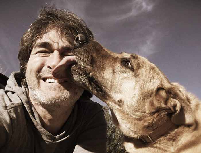 Mon chien me lèche sans arrêt : comment y remédier Mon chien me lèche sans arrêt : comment y remédier