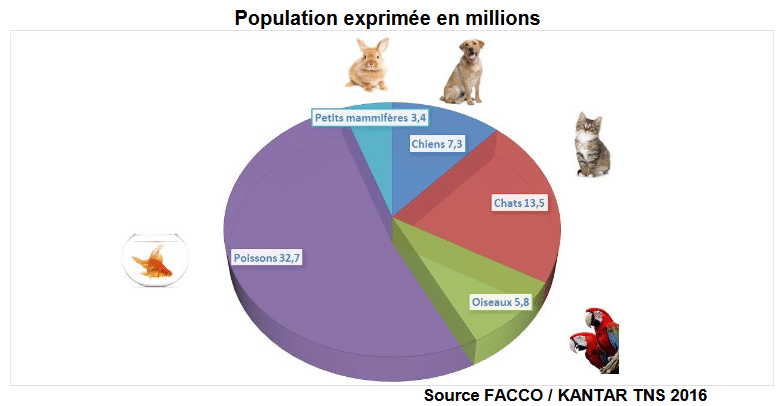 L’animal de compagnie préféré des français en 2016