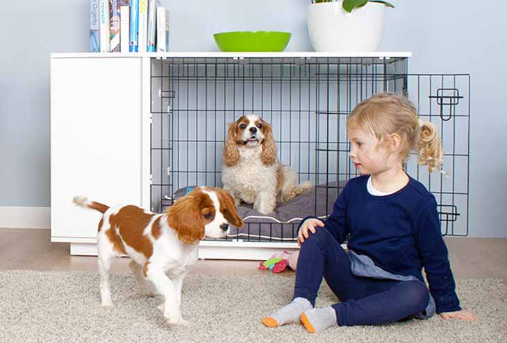 Niche d\'intérieur pour chien Fido Studio d\'Omlet - Toutoupourlechien.com Niche d\'intérieur pour chien Fido Studio d\'Omlet - Toutoupourlechien.com