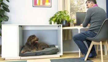 niche-fido-nook-omlet La niche Fido Nook d'Omlet
